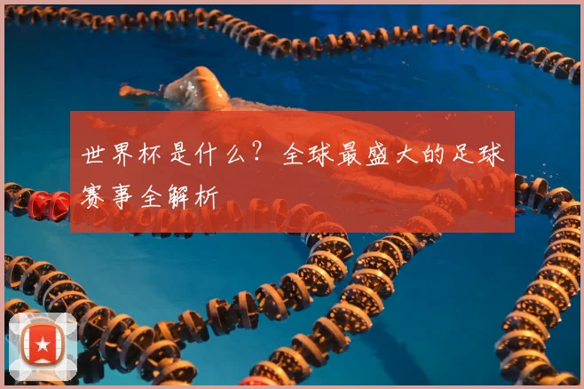 世界杯是什么？全球最盛大的足球赛事全解析
