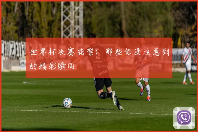 世界杯决赛花絮:那些你没注意到的精彩瞬间