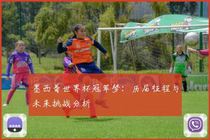 墨西哥世界杯冠军梦：历届征程与未来挑战分析