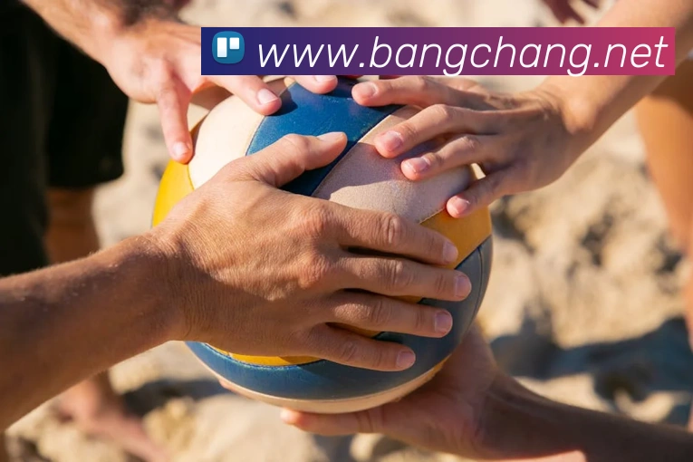 乐竞官网服务体系